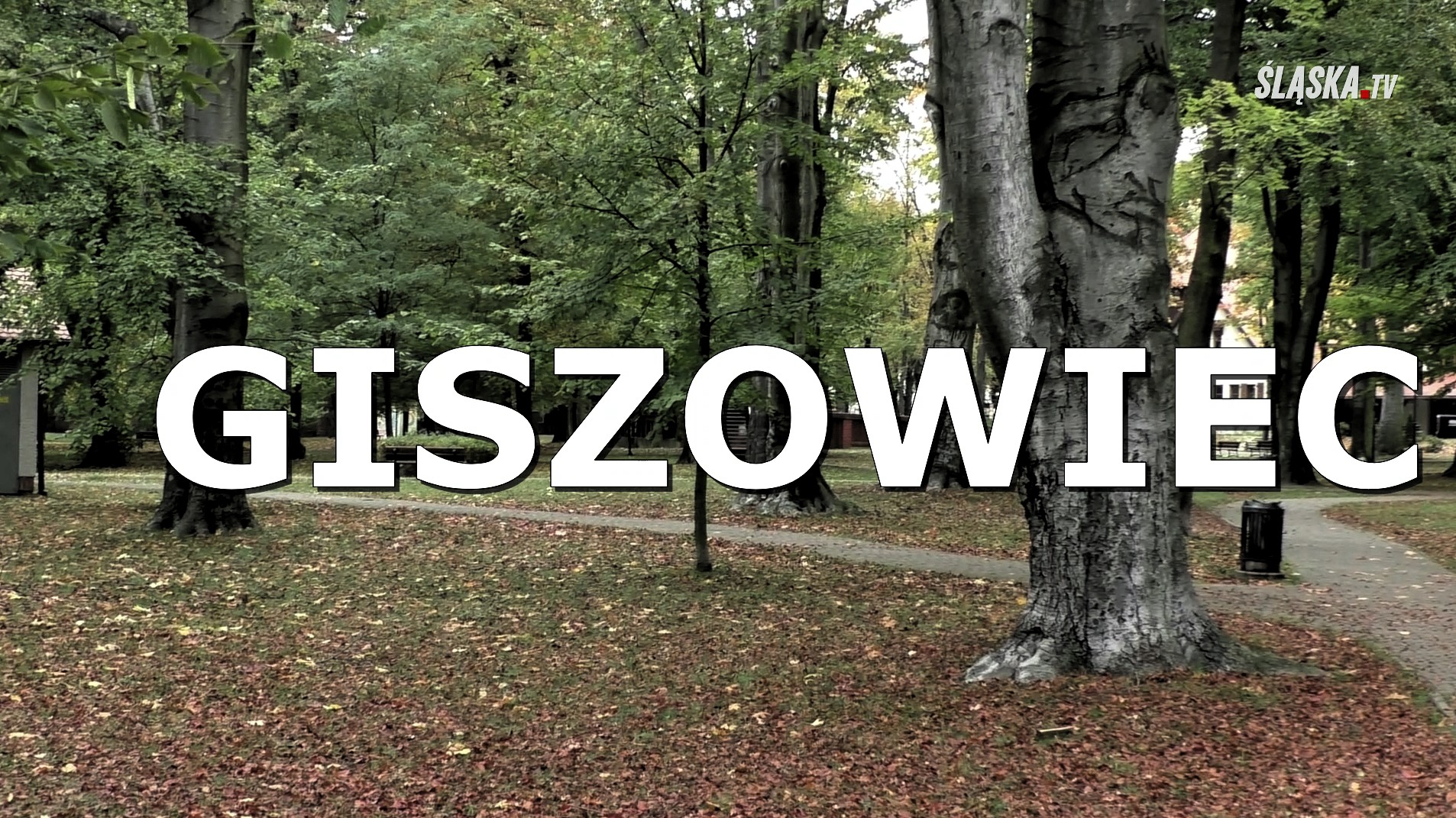 MOJE KATOWICE – GISZOWIEC