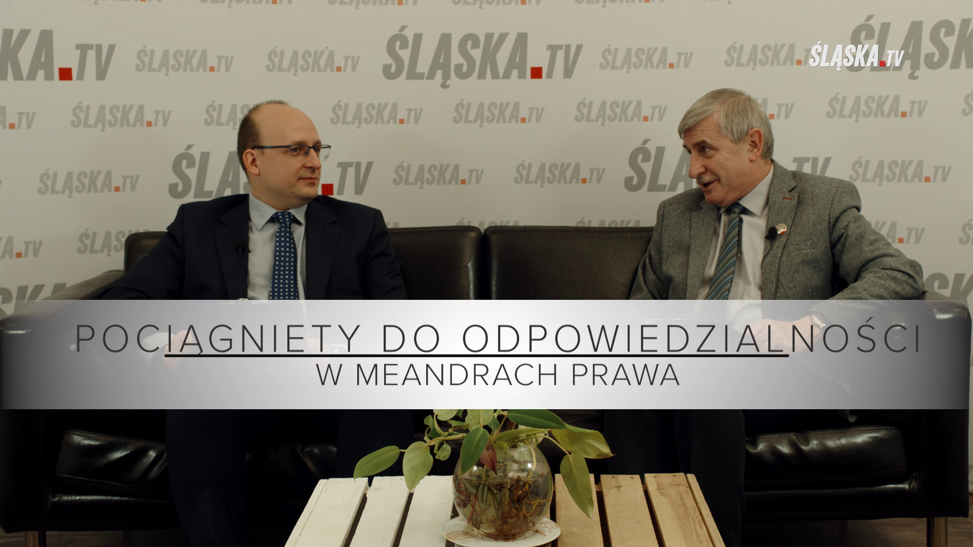 W MEANDRACH PRAWA – POCIĄGNIĘTY DO ODPOWIEDZIALNOŚCI