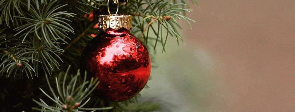 Czy choinka świąteczna może być ekologiczna?