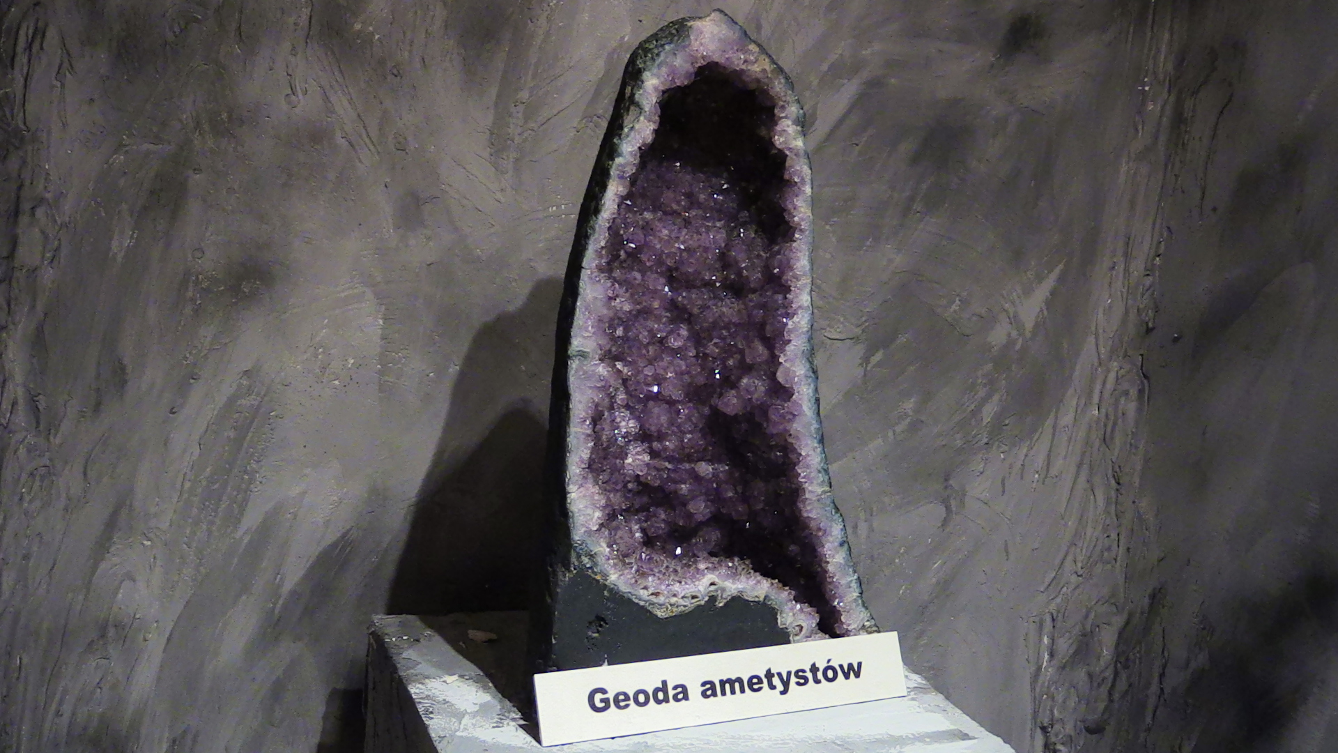 ,,Geologiczna historia Zagłębia Dąbrowskiego”