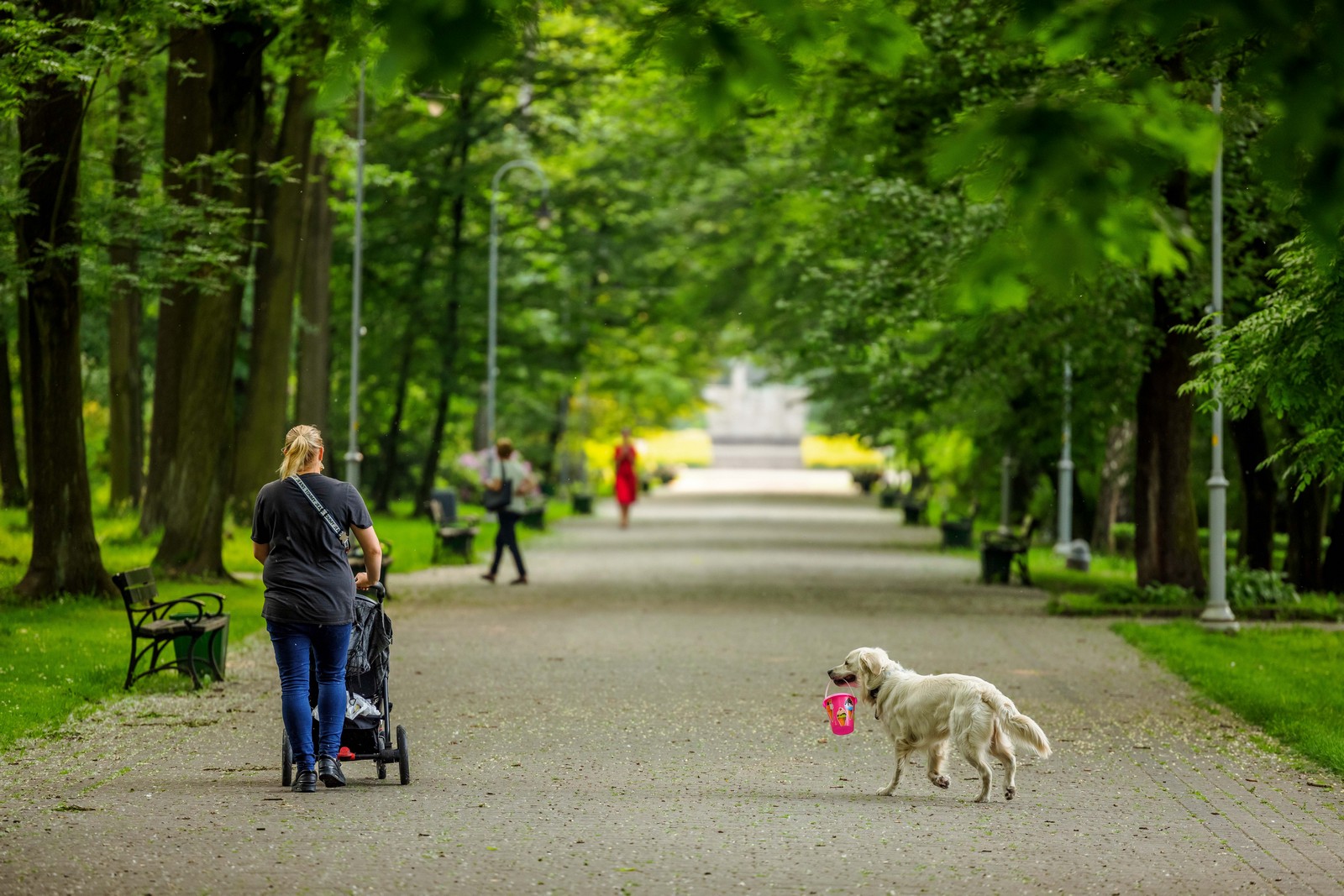 Katowice przygotowały raport o stanie miasta